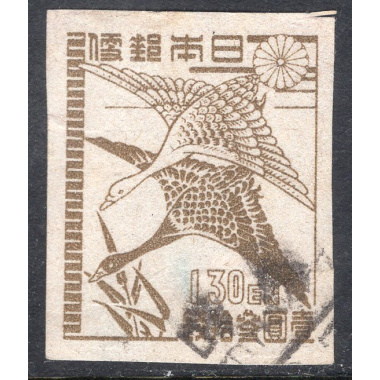 JAPAN SCOTT 365