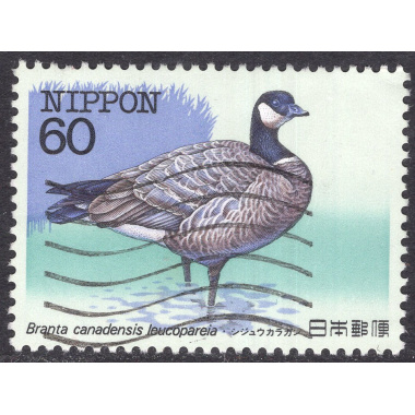 JAPAN SCOTT 1537