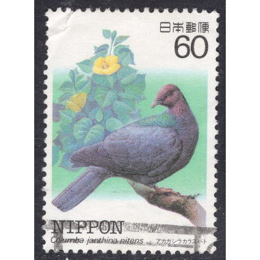 JAPAN SCOTT 1540