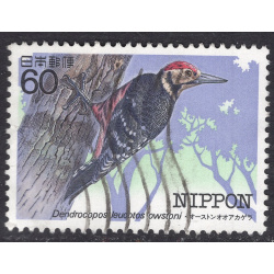 JAPAN SCOTT 1543
