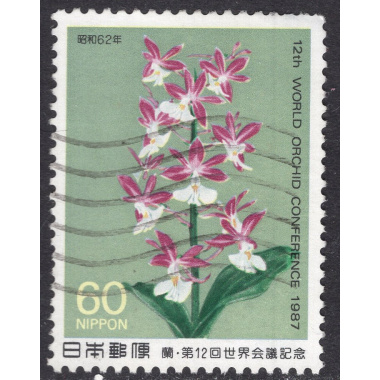 JAPAN SCOTT 1731