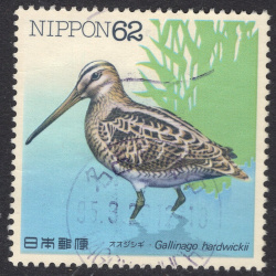 JAPAN SCOTT 2103
