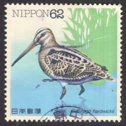 JAPAN SCOTT 2103