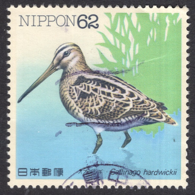 JAPAN SCOTT 2103