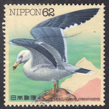 JAPAN SCOTT 2105