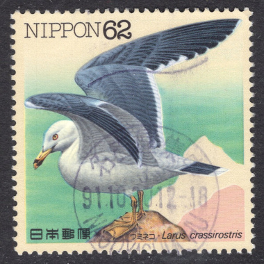 JAPAN SCOTT 2105