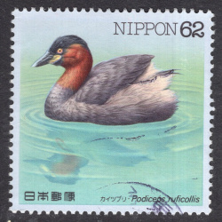 JAPAN SCOTT 2106