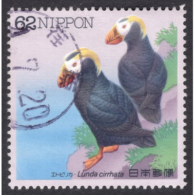 JAPAN SCOTT 2107
