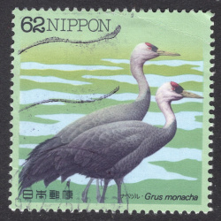 JAPAN SCOTT 2108