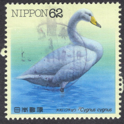 JAPAN SCOTT 2109