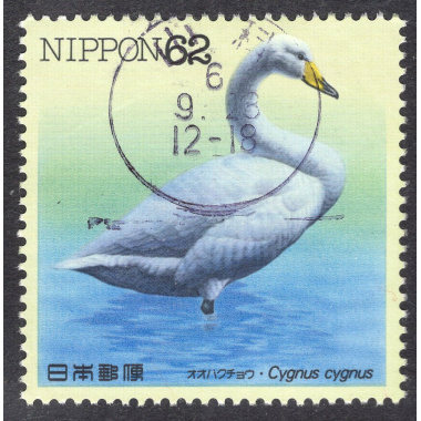 JAPAN SCOTT 2109