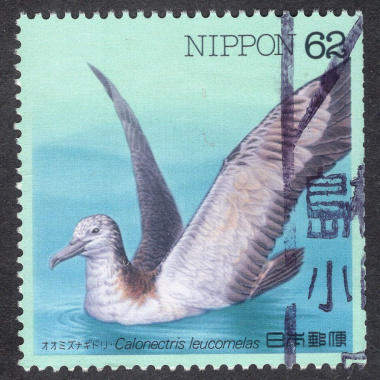 JAPAN SCOTT 2111