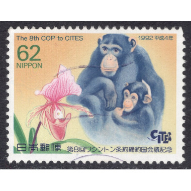 JAPAN SCOTT 2131