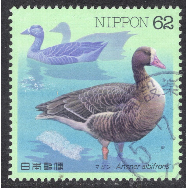 JAPAN SCOTT 2193