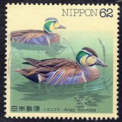 JAPAN SCOTT 2194
