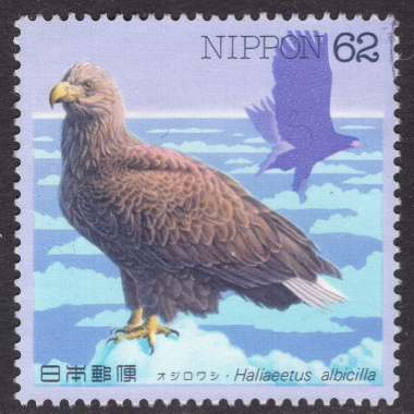 JAPAN SCOTT 2195
