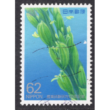 JAPAN SCOTT 2220
