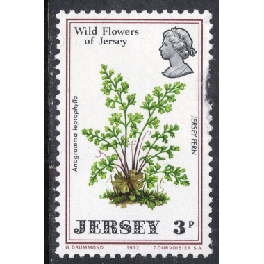 JERSEY SCOTT 61