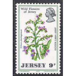 JERSEY SCOTT 64
