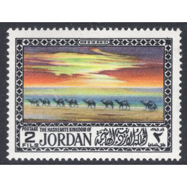JORDAN SCOTT 786