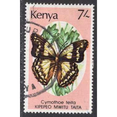 KENYA SCOTT 437