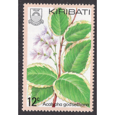 KIRIBATI SCOTT 365