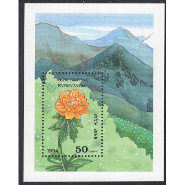 KYRGYZSTAN SCOTT 40