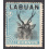 LABUAN SCOTT 50