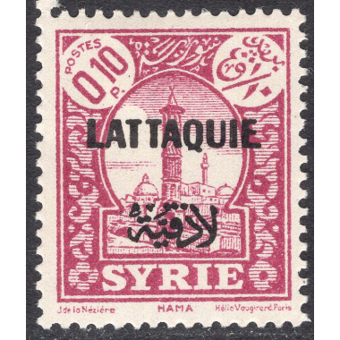 LATAKIA SCOTT 1