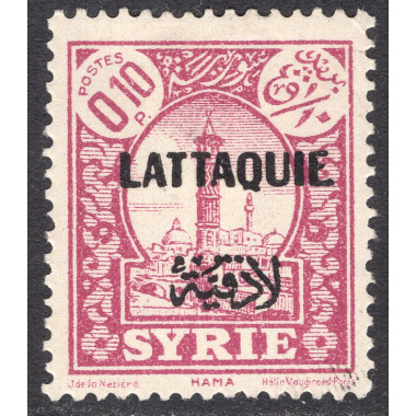 LATAKIA SCOTT 1
