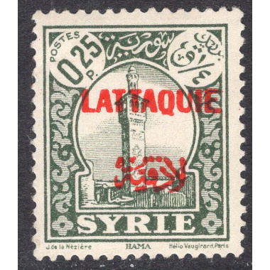 LATAKIA SCOTT 5
