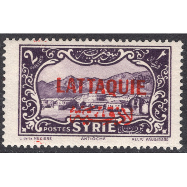 LATAKIA SCOTT 12