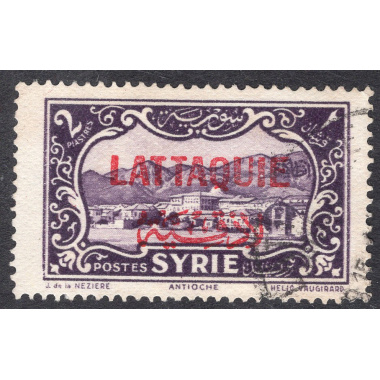 LATAKIA SCOTT 12