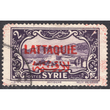 LATAKIA SCOTT 12