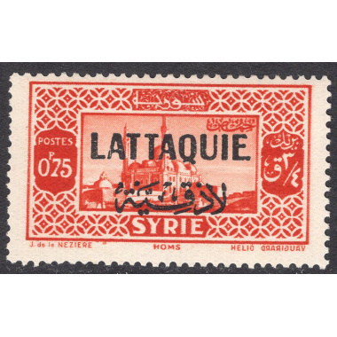 LATAKIA SCOTT 8