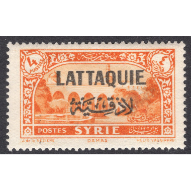 LATAKIA SCOTT 14