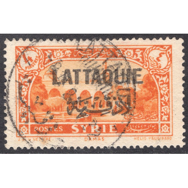 LATAKIA SCOTT 14