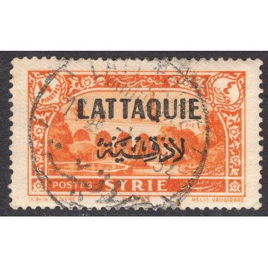 LATAKIA SCOTT 14