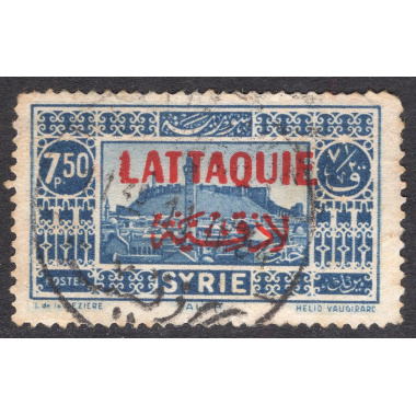 LATAKIA SCOTT 17