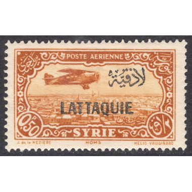 LATAKIA SCOTT C1