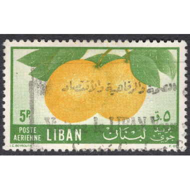 LEBANON SCOTT C211