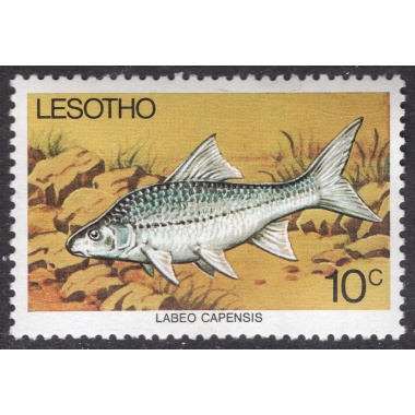 LESOTHO SCOTT 238