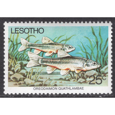 LESOTHO SCOTT 240