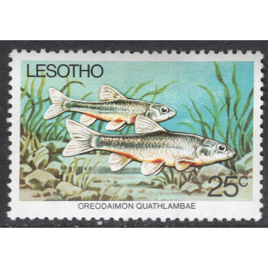 LESOTHO SCOTT 240