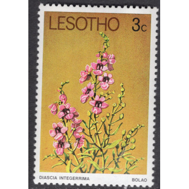 LESOTHO SCOTT 247