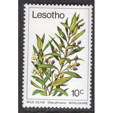 LESOTHO SCOTT 267