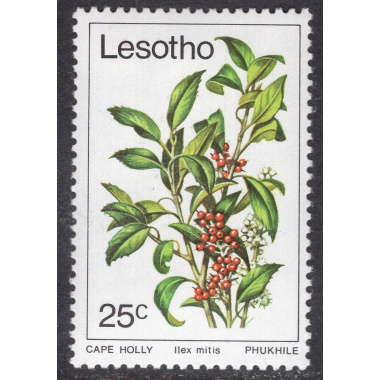 LESOTHO SCOTT 269