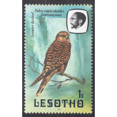 LESOTHO SCOTT 321