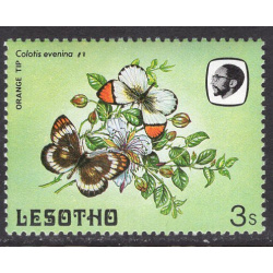 LESOTHO SCOTT 423