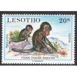 LESOTHO SCOTT 460